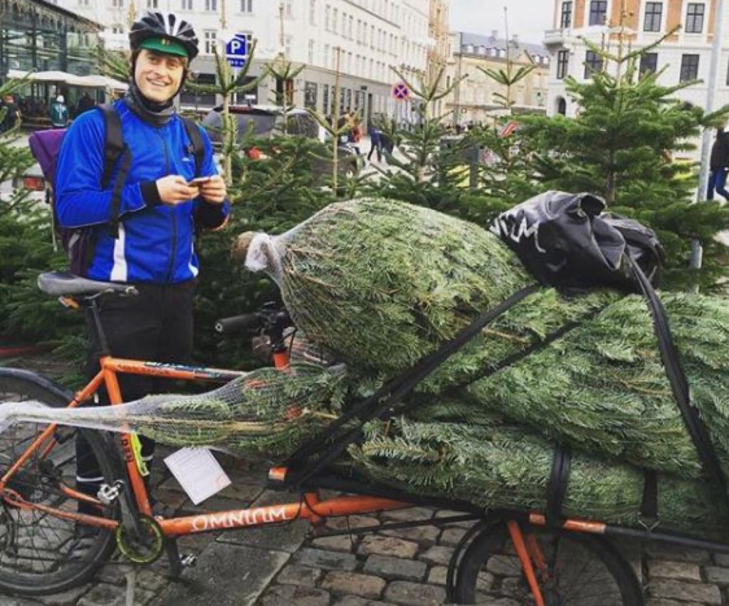 Levering på cykel af et juletræ i København