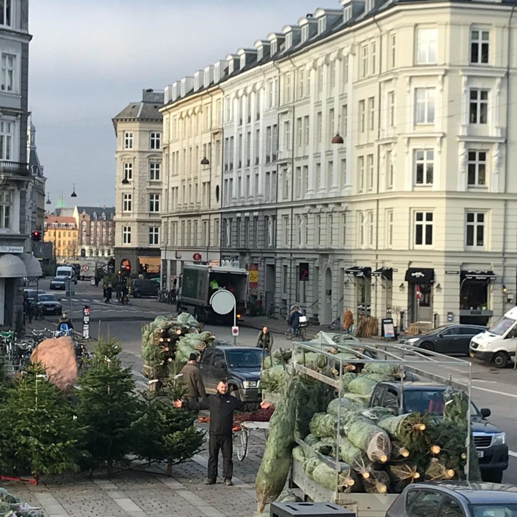 Juletræer på Israels Plads – en af vores juletræsstader i København